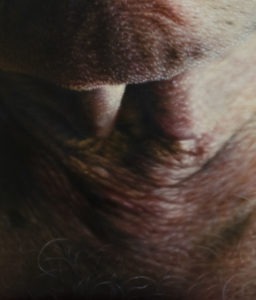 Hyperrealistic oil painting detail of neck texture and skin folds by Jan Petrov.